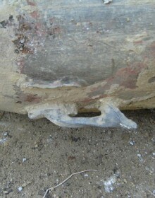 Nalezení letecké pumy GP-100 v Českých Velenicích v červenci 2009